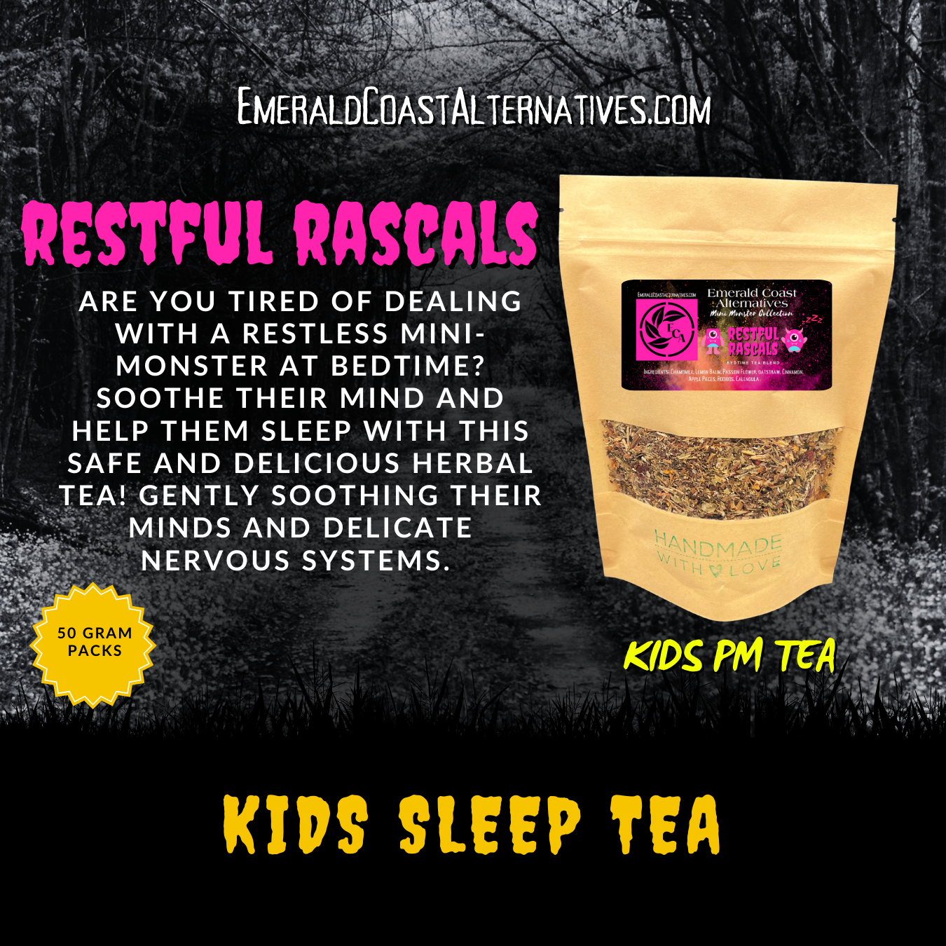 The Family Focus Pack - Neurodivergent Survival Kit