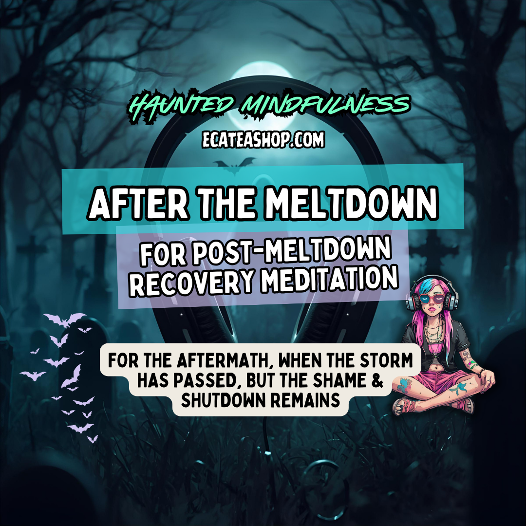 After the Meltdown: A Nervous System Recovery Meditation