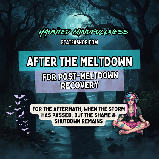 After the Meltdown: A Nervous System Recovery Meditation