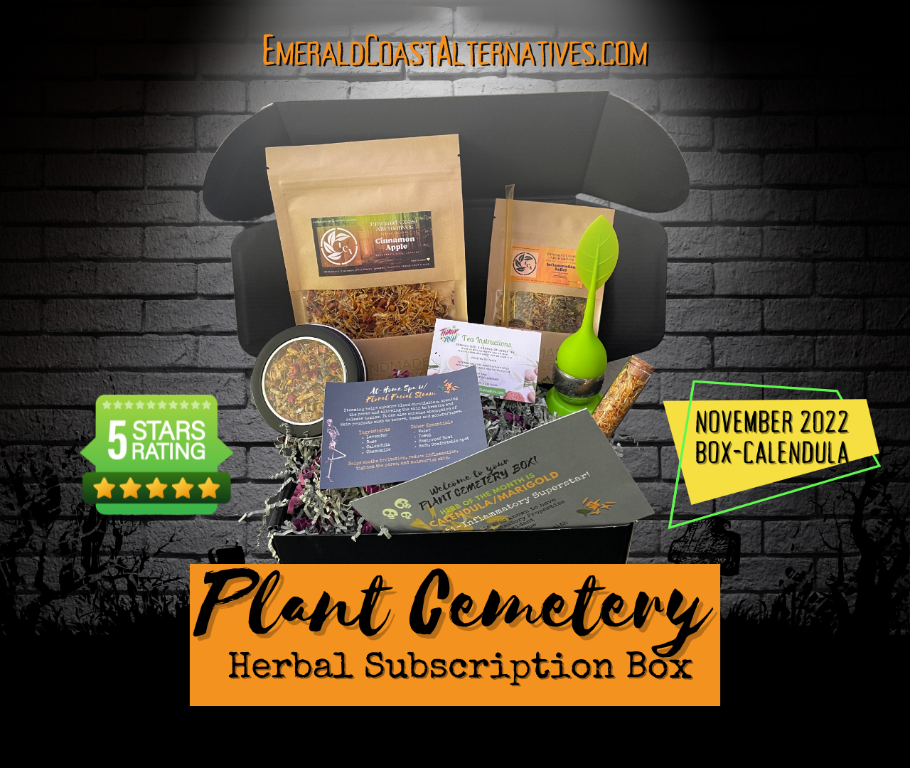 Plant Cemetery Monthly Box (1 Year!)