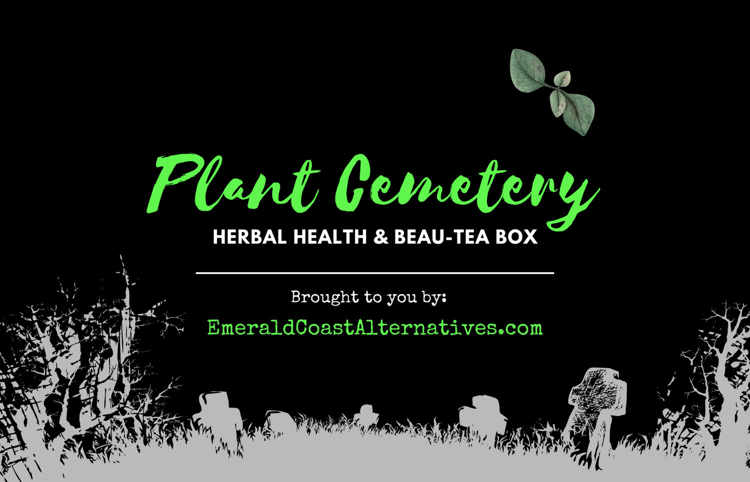 Plant Cemetery Herbal Subscription Box, Tea Subscription, Herbal Subscription, Learn more about herbs and teas, Teas 101, Herbs for beginners