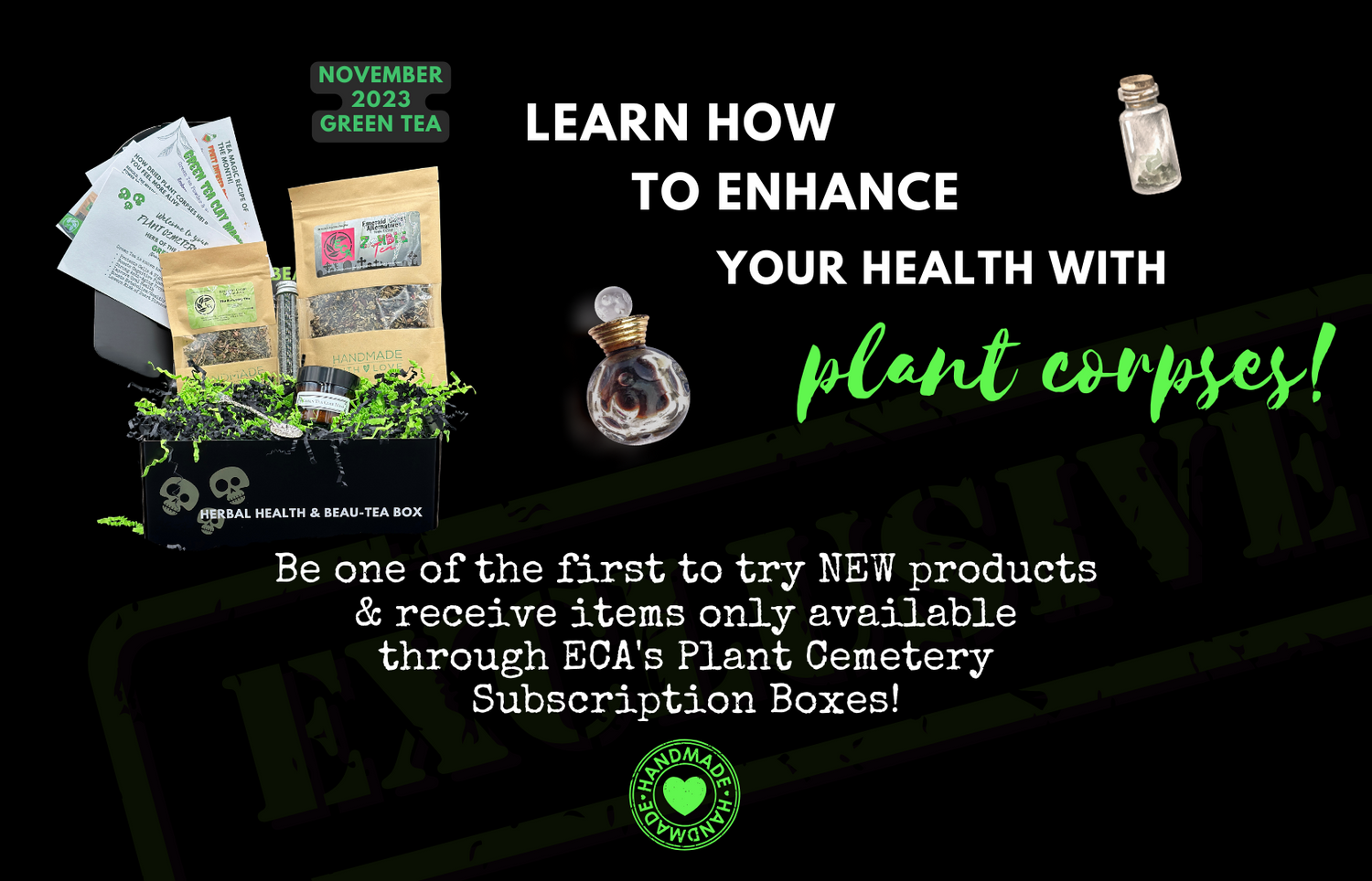 Plant Cemetery Herbal Subscription Box, Tea Subscription, Herbal Subscription, Learn more about herbs and teas, Teas 101, Herbs for beginners