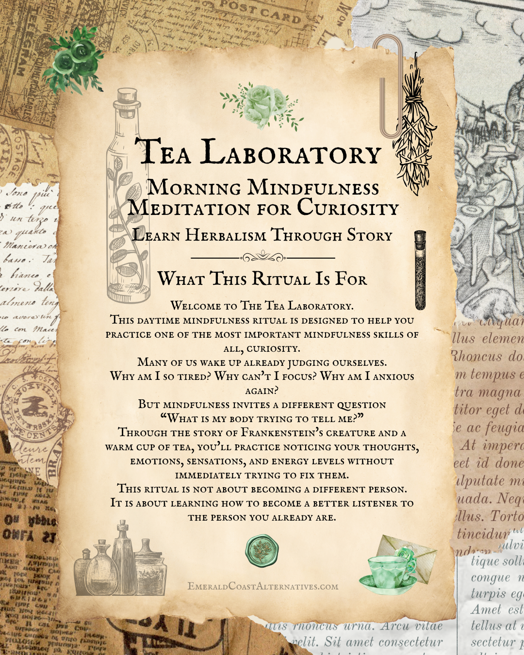 The Tea Laboratory Meditation | Morning Mindfulness & Herbal Tea Ritual