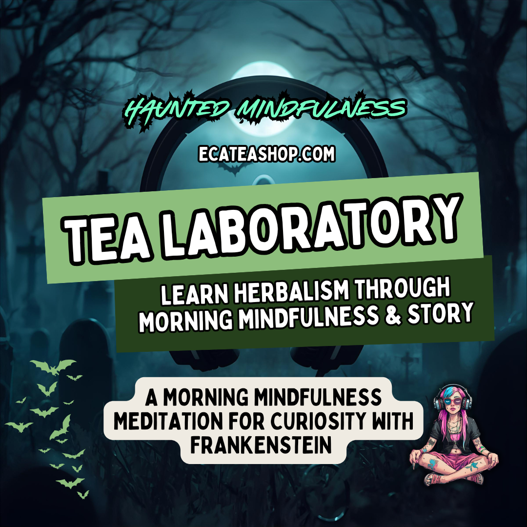 The Tea Laboratory Meditation | Morning Mindfulness & Herbal Tea Ritual