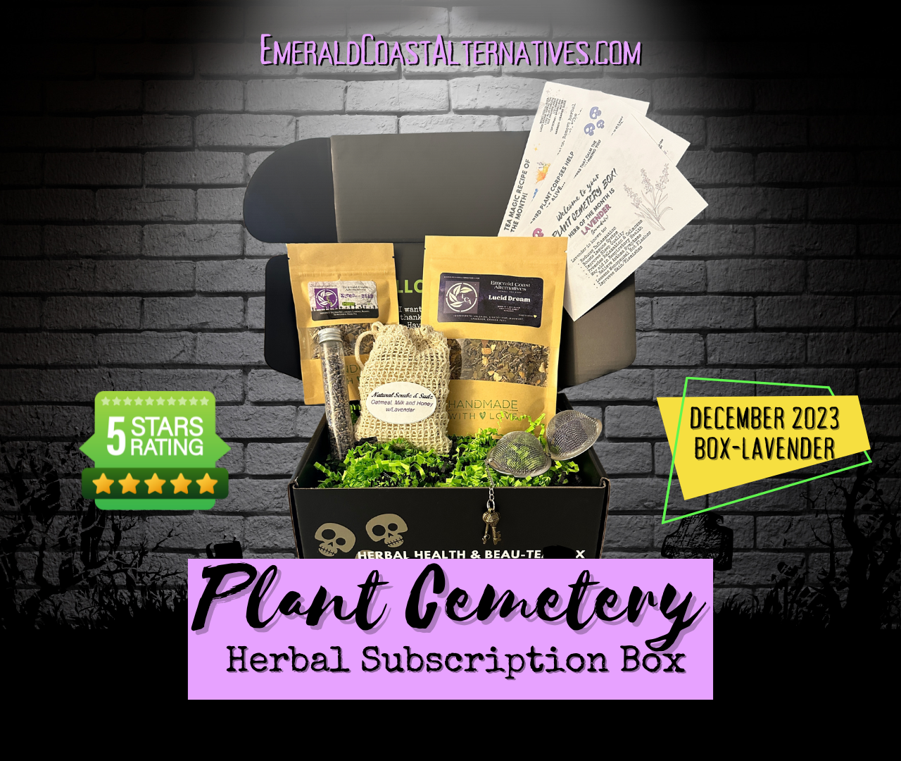 Plant Cemetery Monthly Box (3 Months)