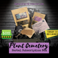 Plant Cemetery Herbal Monthly Subscription Box