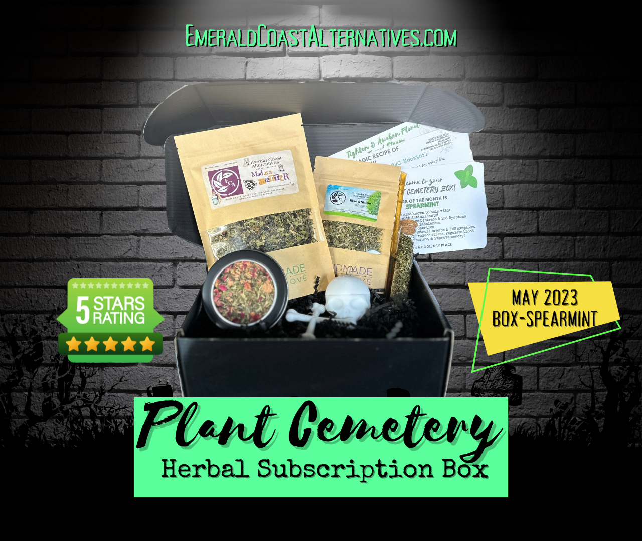 Plant Cemetery Monthly Box (1 Year!)