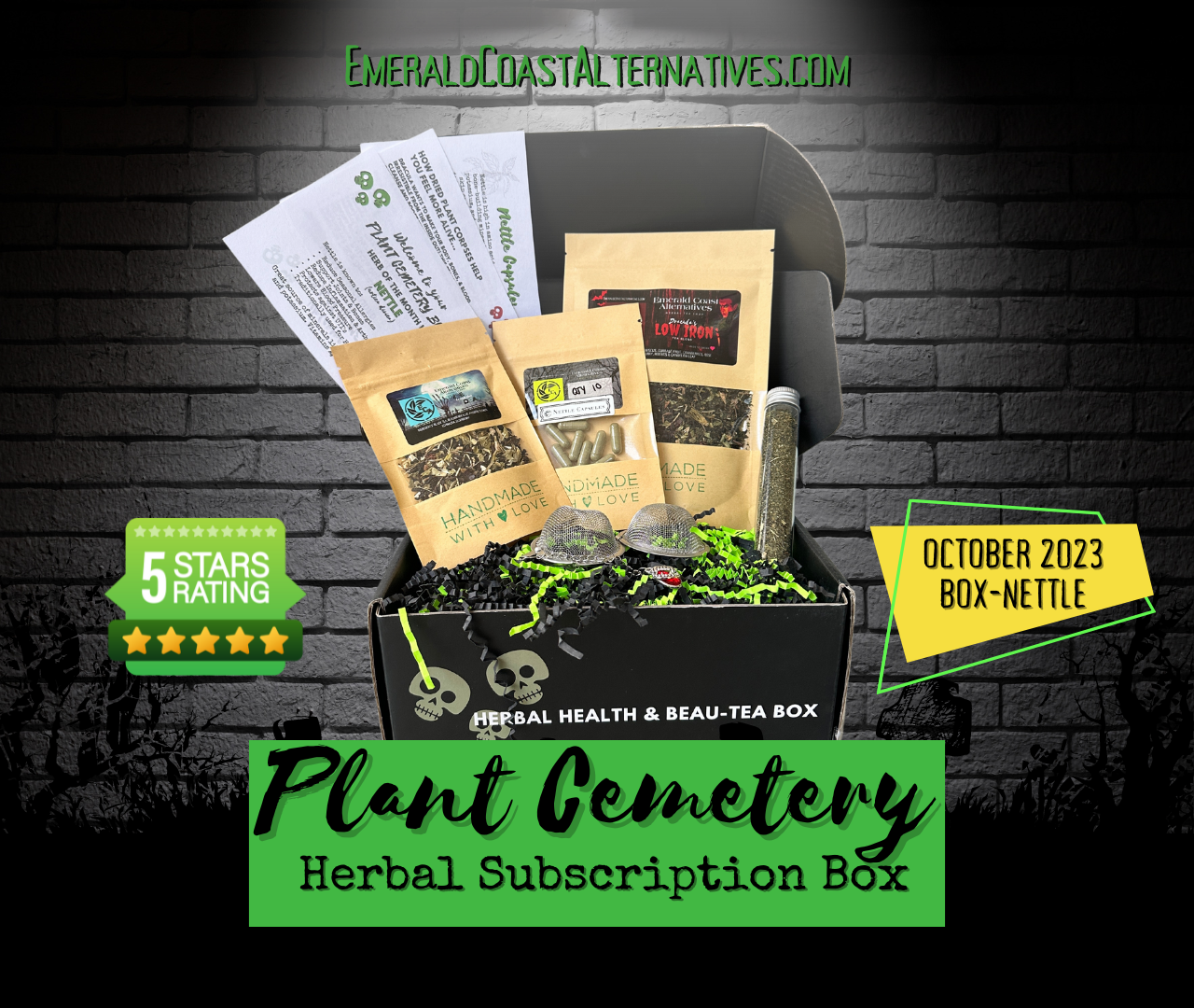 Plant Cemetery Monthly Box (3 Months)
